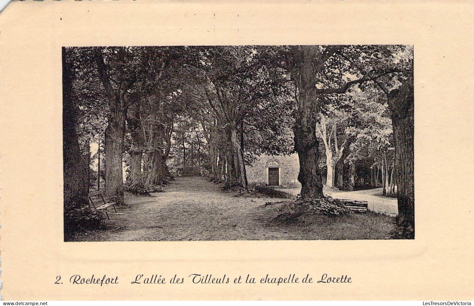 BELGIQUE - ROCHEFORT - L'Allée Des Tilleuls Et La Chapelle De Lorette - Edit Georges Lallemand - Carte Postale Ancienne - Rochefort