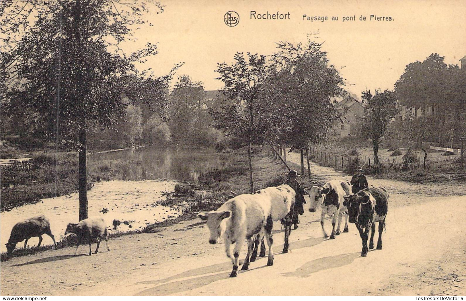 BELGIQUE - ROCHEFORT - Paysage Au Pont De Pierres - Carte Postale Ancienne - Rochefort