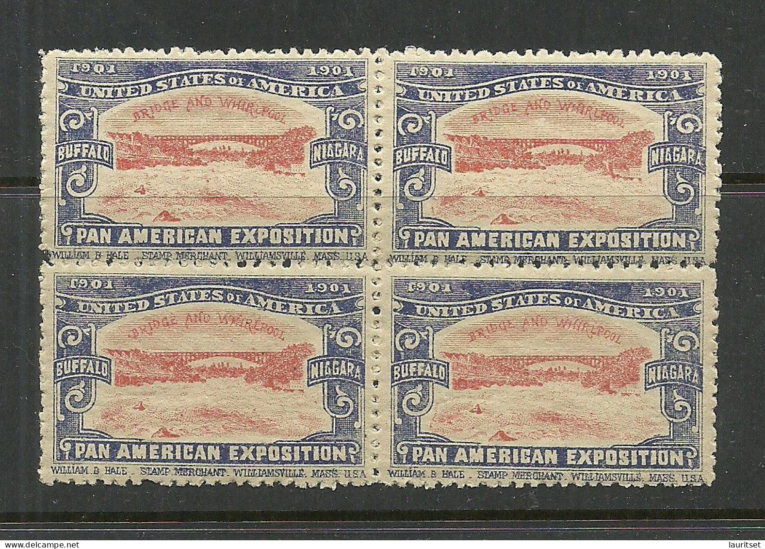 USA 1901 Pan American Exposition 1901 Buffalo & Niagara Advertising Poster Stamp Reklamemarke As 4-block MNH - Nuevos