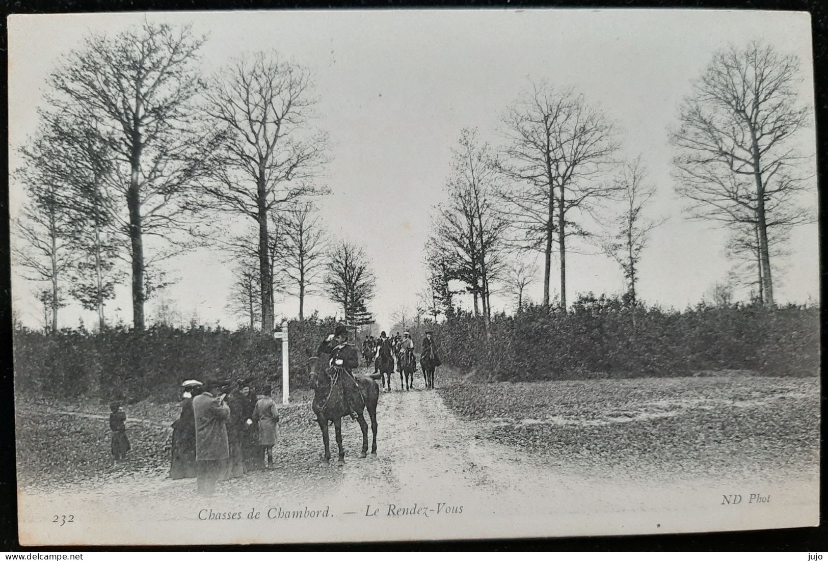 Chasses à Courre  - Chasses De Chambord - Le Rendez Vous - Chasse