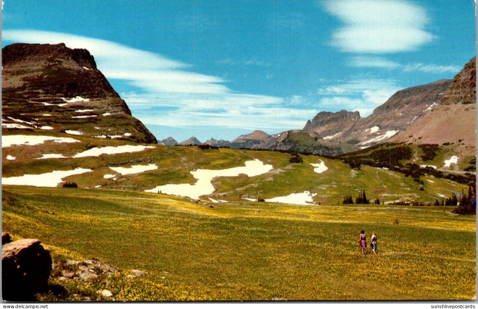 Montana Glacier National Park Logan Pass's Alpine Meadow - Other & Unclassified