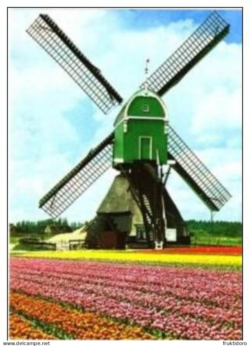 AKEO 23 Esperanto Cards the Netherlands - Tulips - Cheese - Windmill - Canals - Harbour - Text in Esperanto