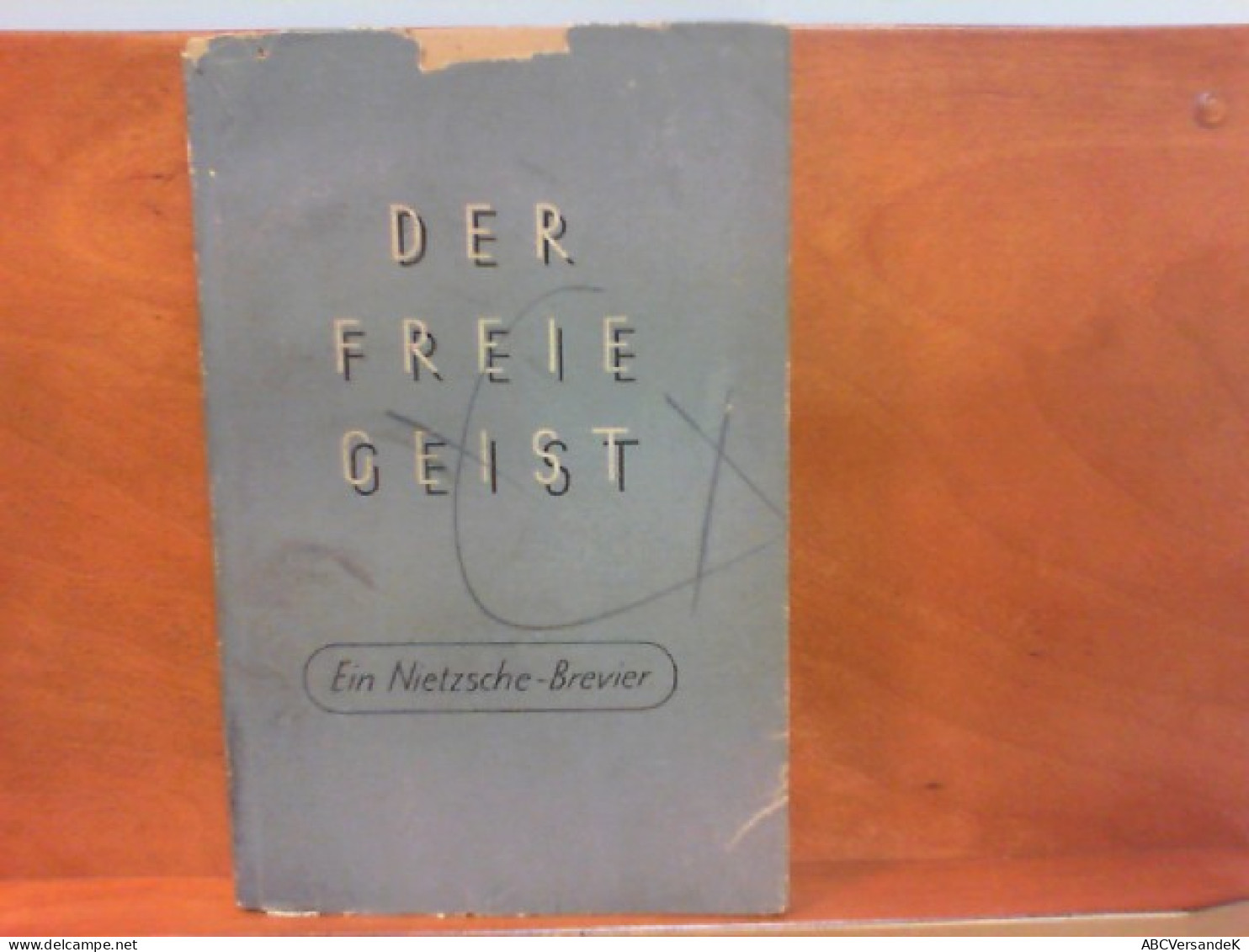 Der Freie Geist : Ein Nietzsche-Brevier - Philosophy
