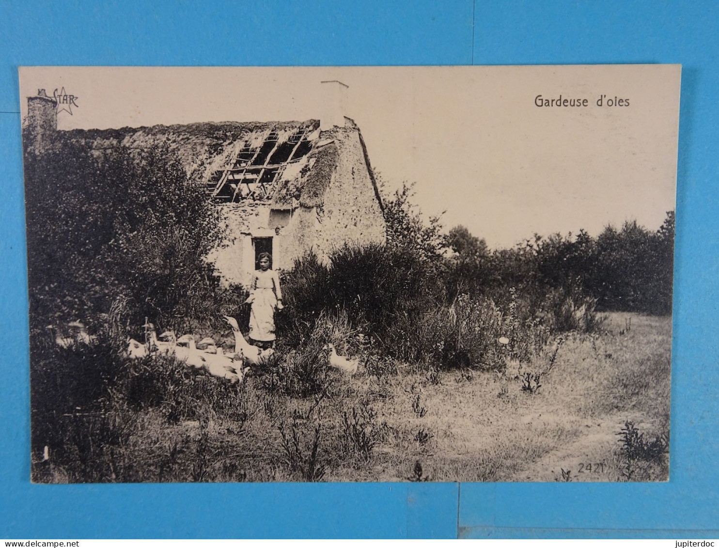 Gardeuse D'oies (Belgique) - Paysans