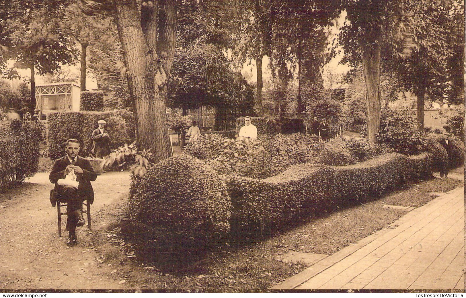 BELGIQUE - SAINT MARTIN DAVE Etat - Le Jardin Du Quartier St Corneille - Carte Postale Ancienne - Autres & Non Classés