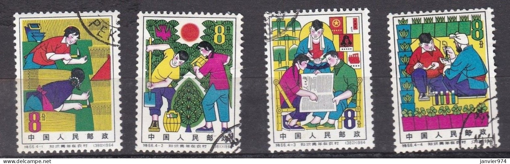 Chine 1964 La Série Complète Travaux Agricoles Des étudiants, 819 à 822, 4 Timbres, Scan Recto Verso - Gebruikt