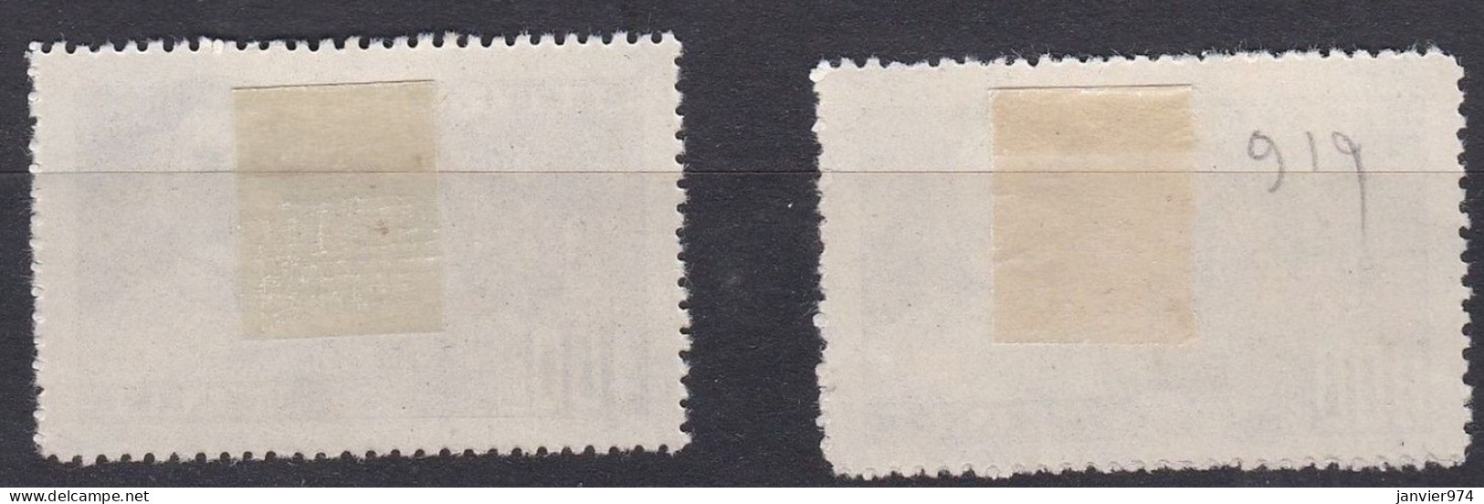 Chine 1951, Anniversaire De La Mort De L’écrivain Lu-Hsun, N° 127 Et 128 , Scan Recto Verso - Unused Stamps