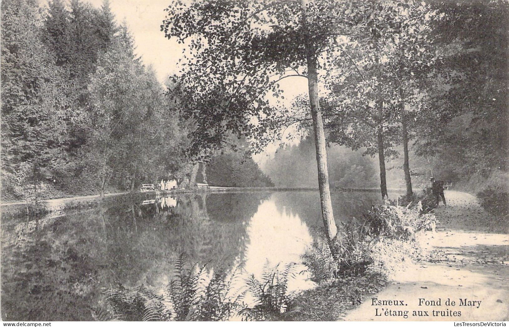 BELGIQUE - ESNEUX - Fond De Mary - L'étang Aux Truites - Carte Postale Ancienne - Esneux