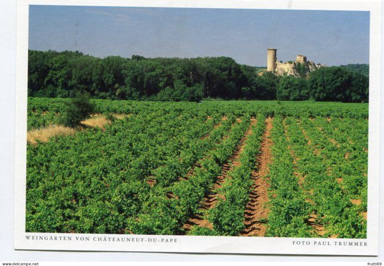 AK 131388 FRANCE - Weingärten Von Chateauneuf-du-Pape - Chateauneuf Du Pape