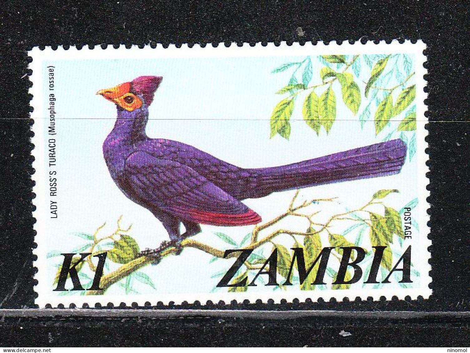 Zambia - 1975. Turaco Di Lady Ross. MNH - Cuckoos & Turacos