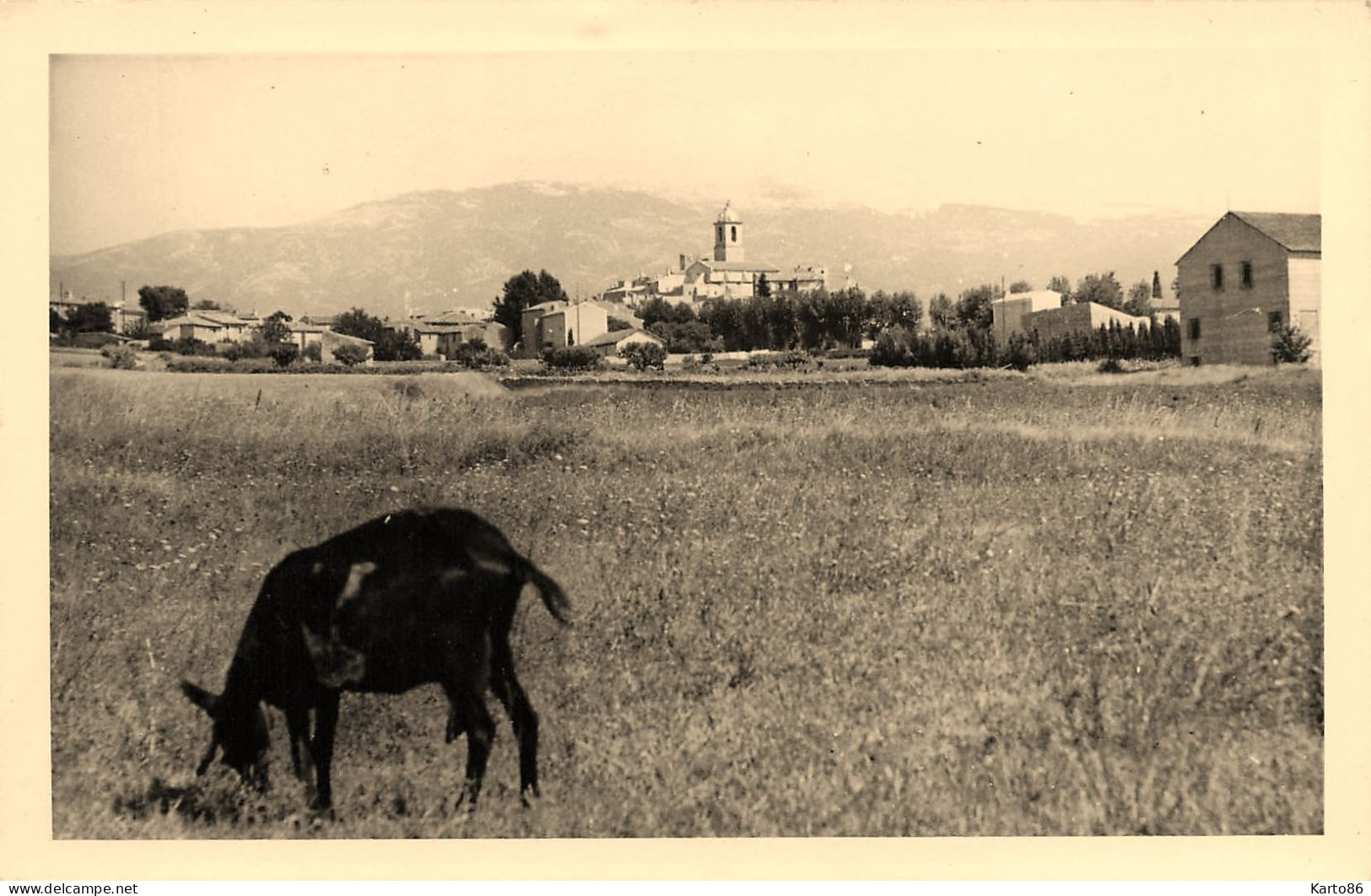 Mormoiron * Carte Photo * Le Village - Mormoiron