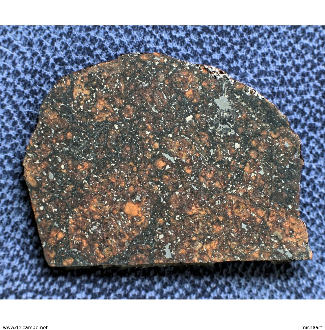 Meteorite Ordinary Chondrite Slice 3.31 G. Calama 172 (L6-mb,S3,W1) Chile 03086 - Meteoritos