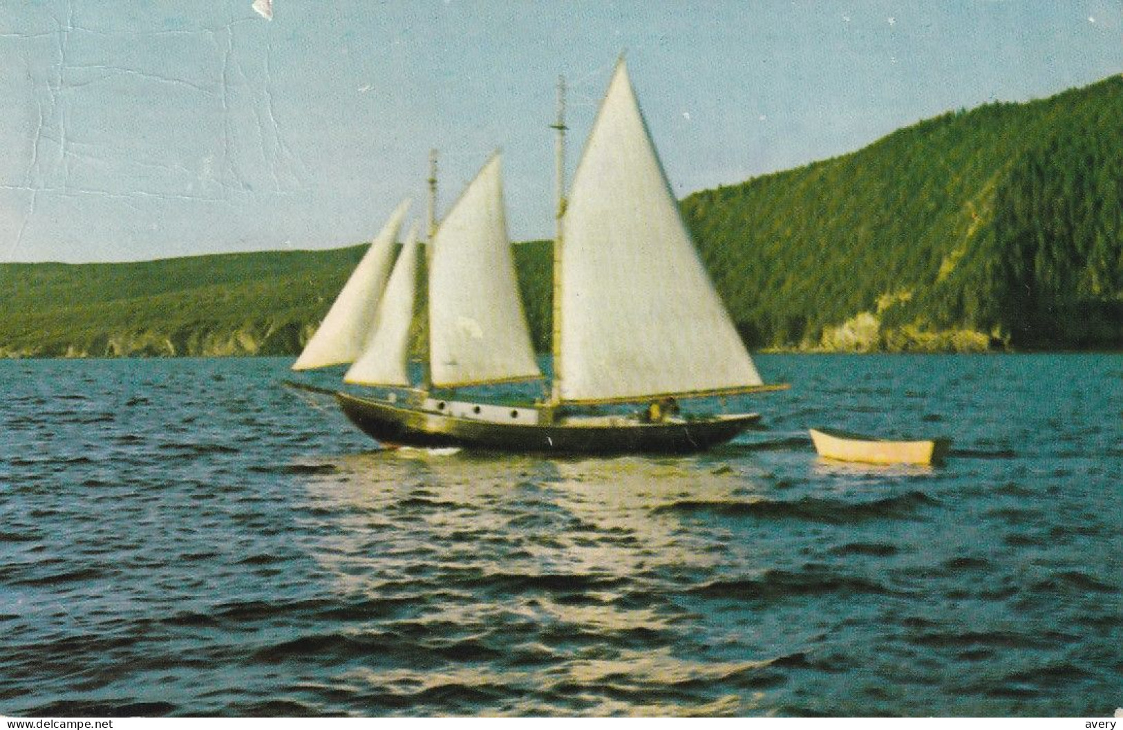 Sailing In Bay Of Islands, Newfoundland - Altri & Non Classificati