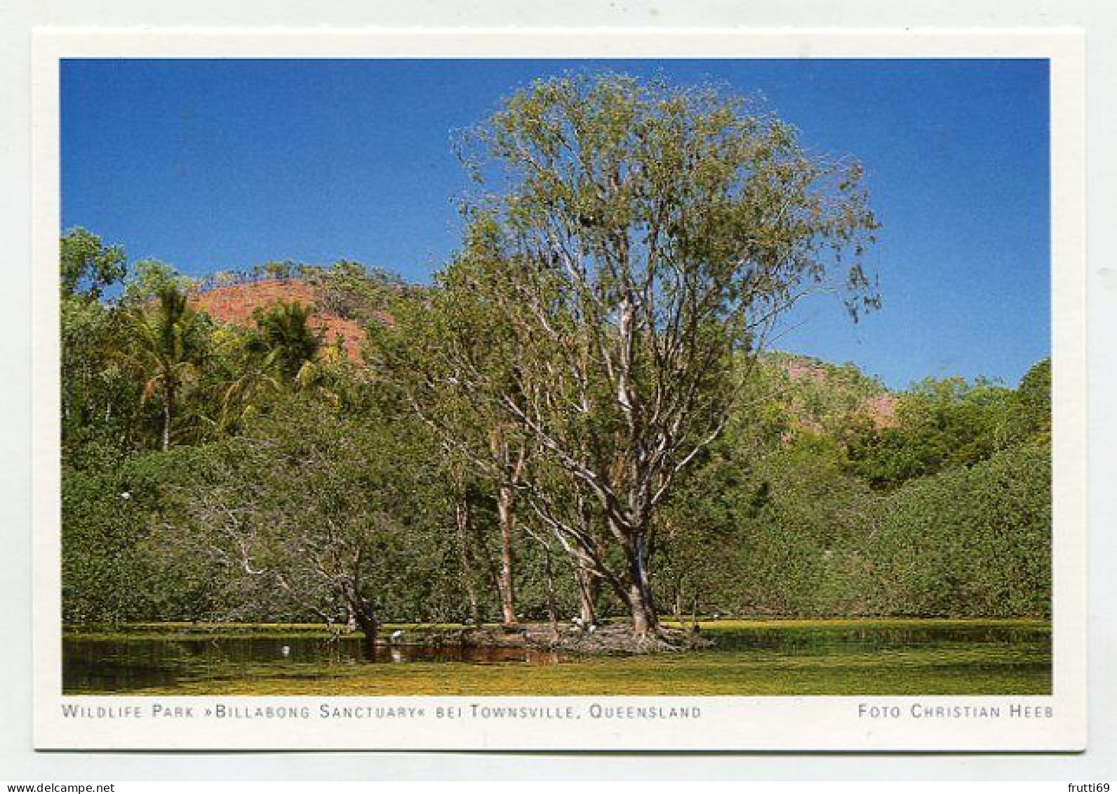 AK 131530 AUSTRALIA - Queensland - Wildlife Park Billabong Sanctuary Bei Townsville - Townsville