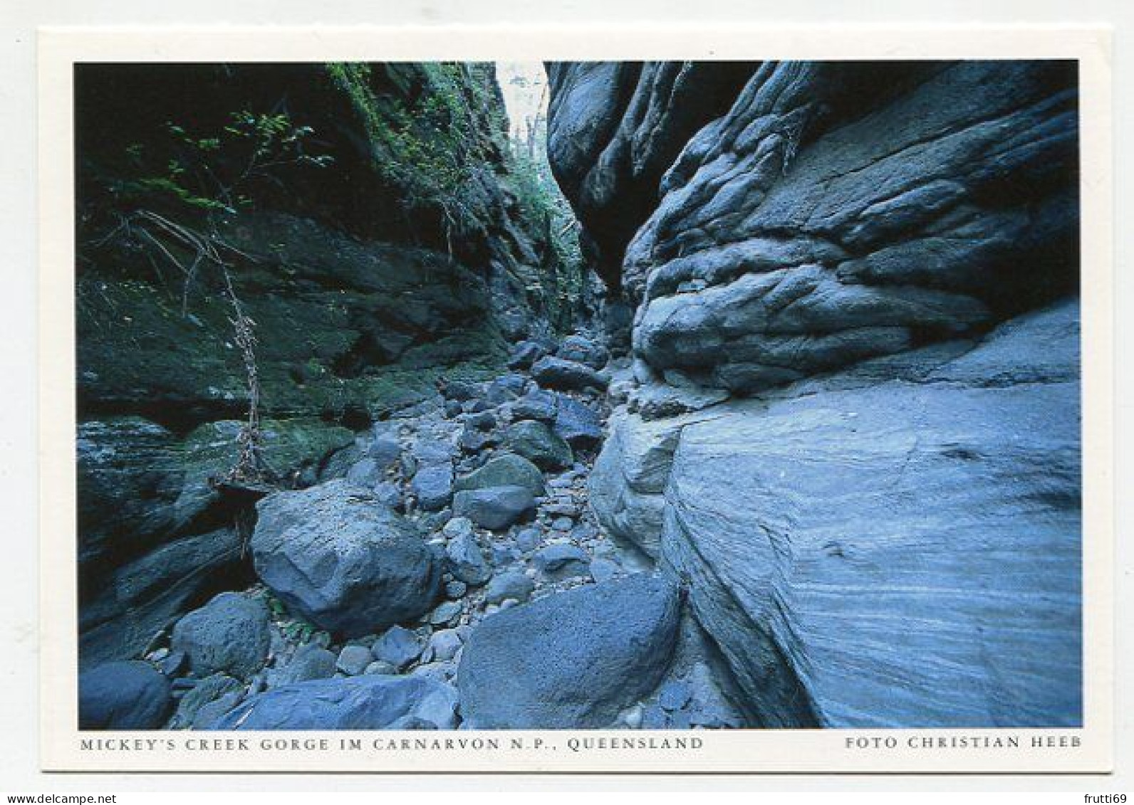 AK 131537 AUSTRALIA - Queensland - Mickey's Creek Gorge Im Carnavon N. P. - Andere & Zonder Classificatie