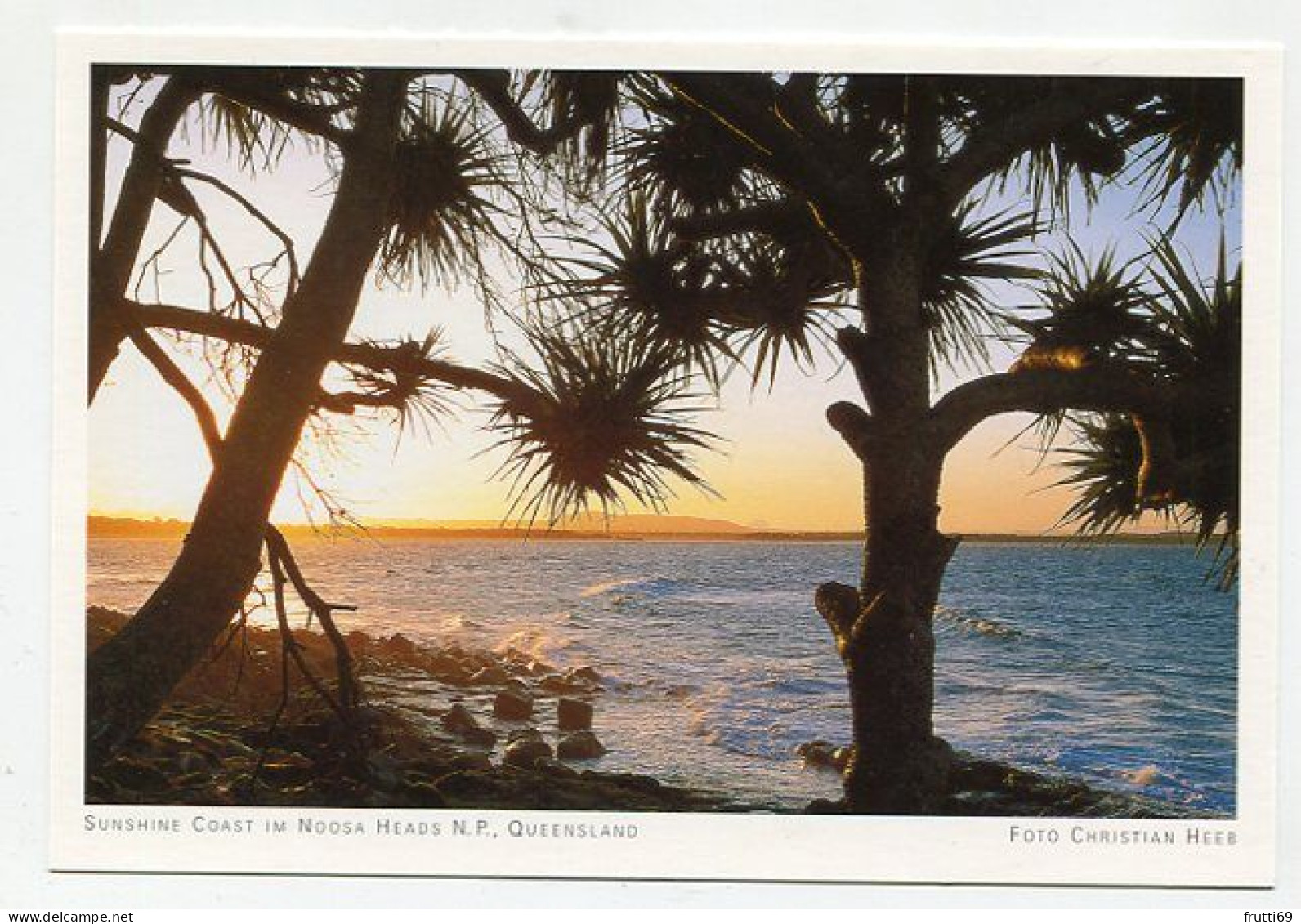 AK 131542 AUSTRALIA - Queensland - Sunshine Coast Im Noosa Heads N. P. - Other & Unclassified