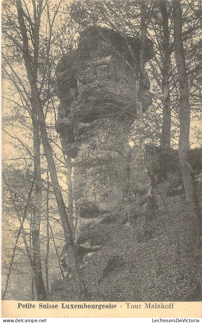 LUXEMBOURG - Petite Suisse Luxembourgeoise - Tour Malakoff - Carte Postale Ancienne - Autres & Non Classés