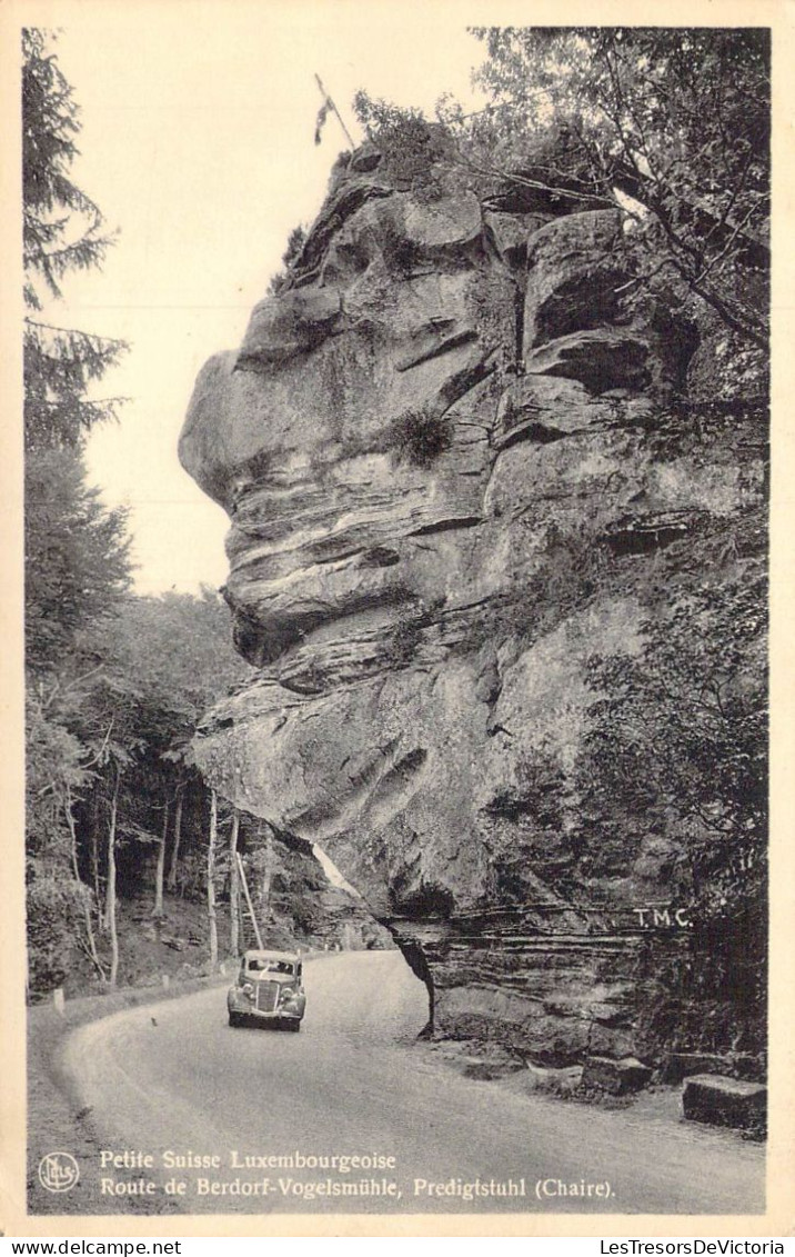 LUXEMBOURG - Petite Suisse Luxembourgeoise - Route De Berdorf-Vogelsmuhle Predigtstuhl - Carte Postale Ancienne - Berdorf