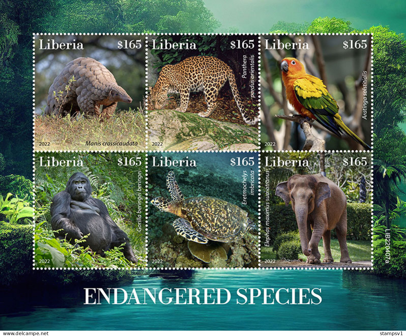 LIberia  2022 Endangered Species.  Gorila. (407a) OFFICIAL ISSUE - Gorilles