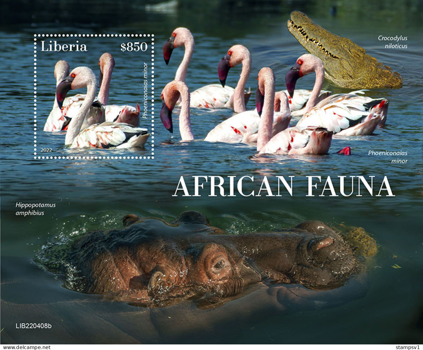 LIberia  2022 African Fauna.  Flamingo. (408b) OFFICIAL ISSUE - Flamants