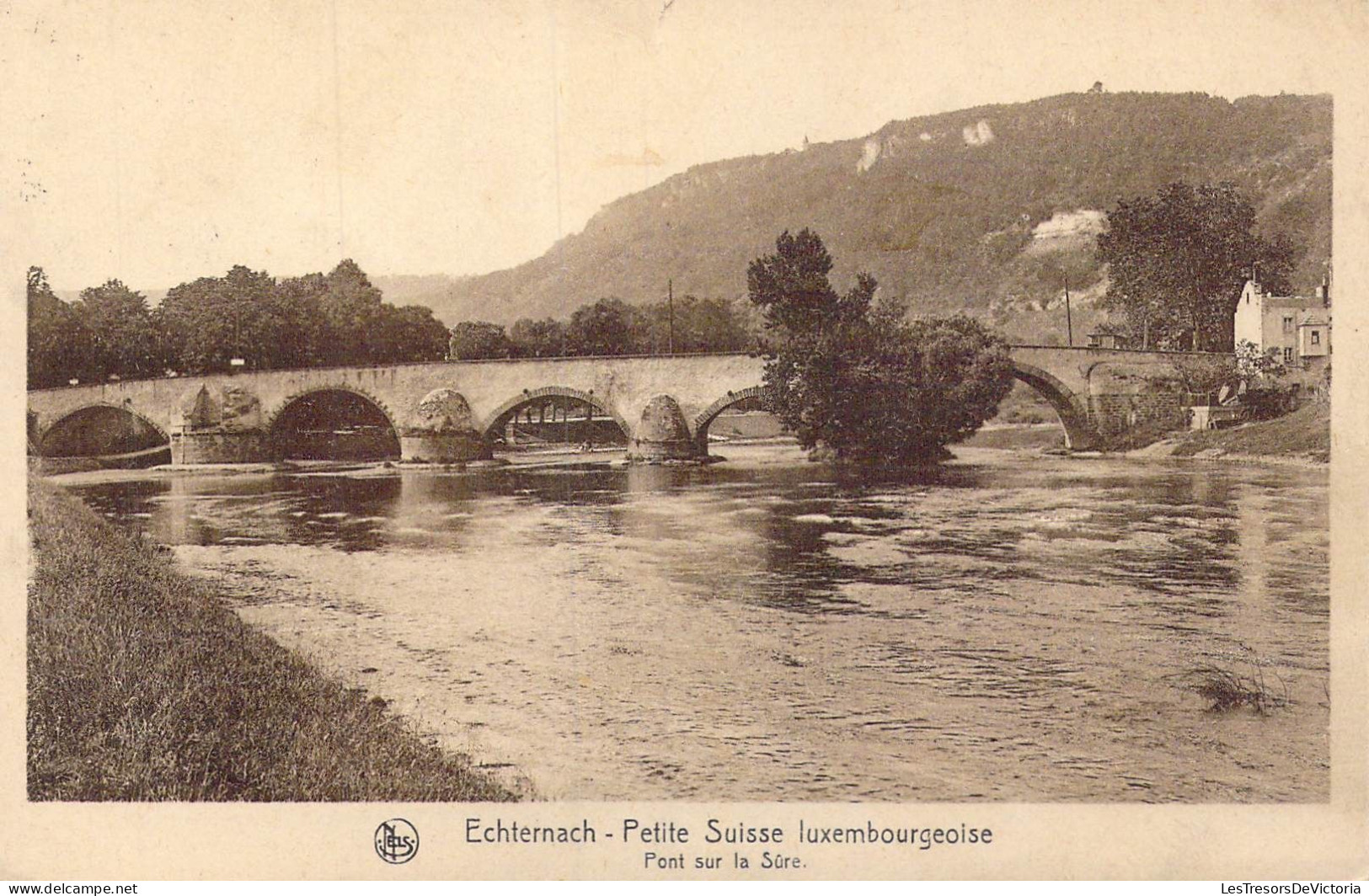 LUXEMBOURG - Echternach - Petite Suisse Luxembourgeoise - Pont Sur La Sûre - Carte Postale Ancienne - Echternach