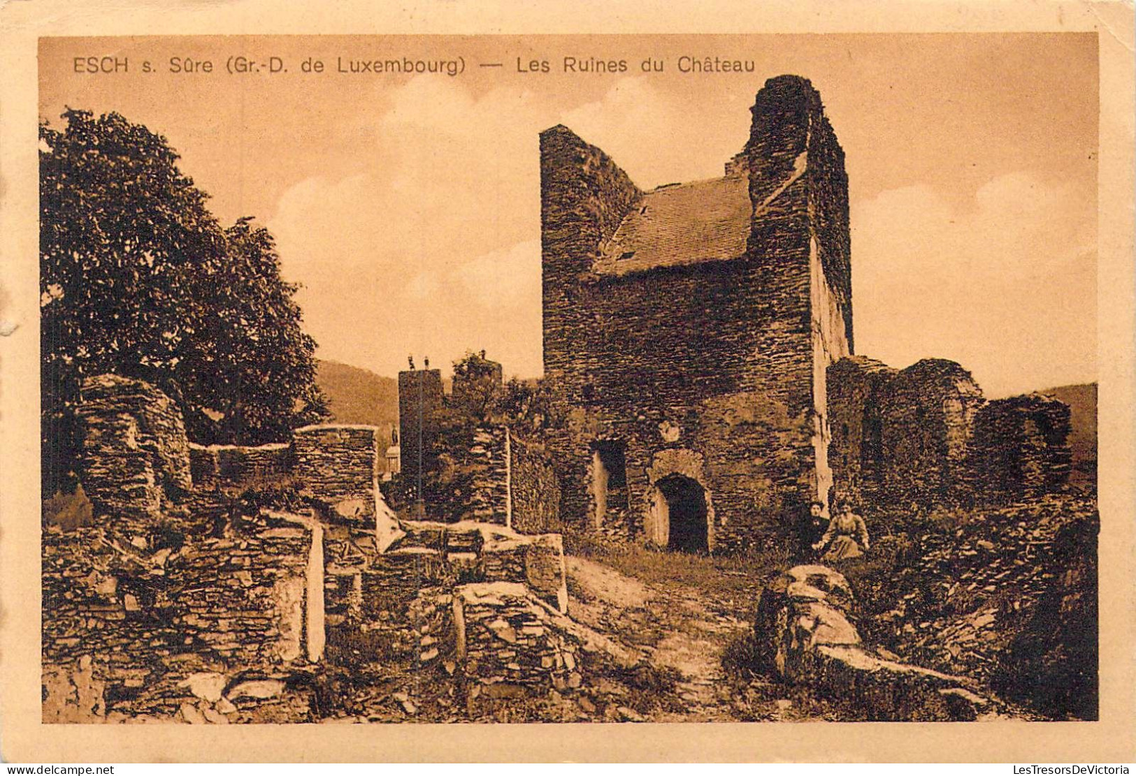 LUXEMBOURG - Esch-sur-Sûre - Les Ruines Du Château - Carte Postale Ancienne - Esch-Sauer