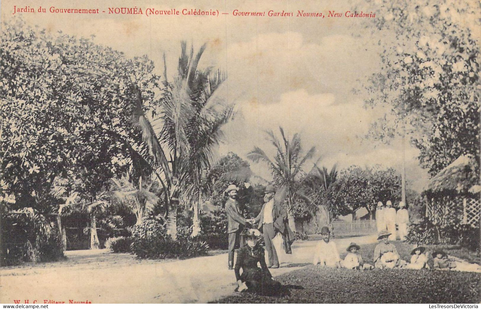 FRANCE - Nouvelle Calédonie - Nouméa - Jardin Du Gouvernement - Carte Postale Ancienne - Nouvelle Calédonie
