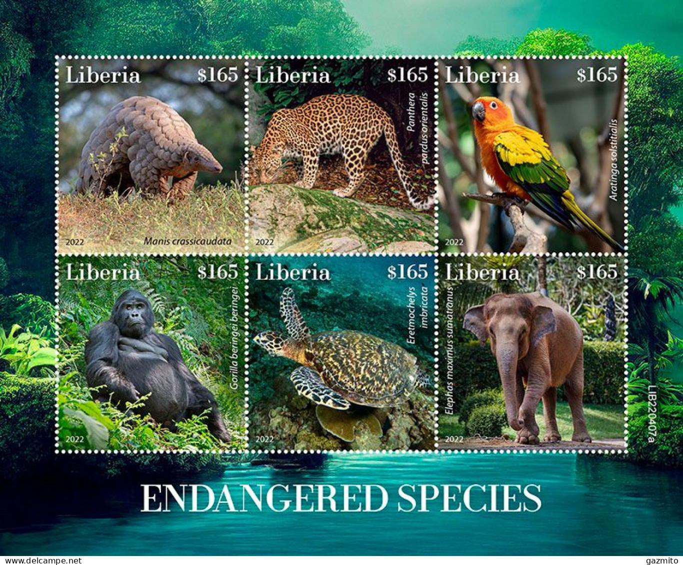 Liberia 2022, Animals In Dangered, Leopard, Parrot, Gorilla, Turtle, Elephant, 6val In BF - Gorillas