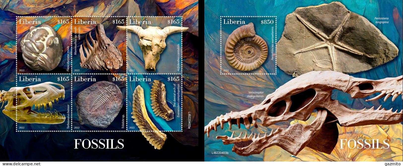 Liberia 2022, Fossils, 6val In BF+BF - Fossiles