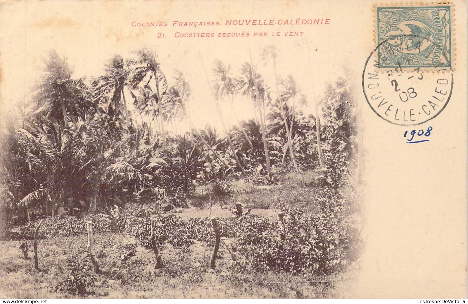 FRANCE - Nouvelle Calédonie - Cocotiers Secoués Par Le Vent - Carte Postale Ancienne - Nouvelle Calédonie