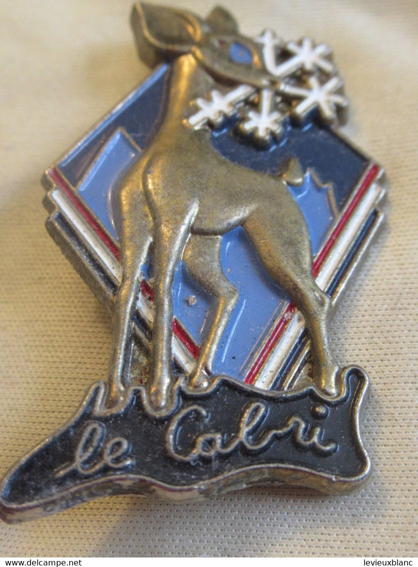 Insigne De Ski/ LE CABRI / ESF /Augis Lyon / Vers 1950-1970                    SPO384bis - Sports D'hiver