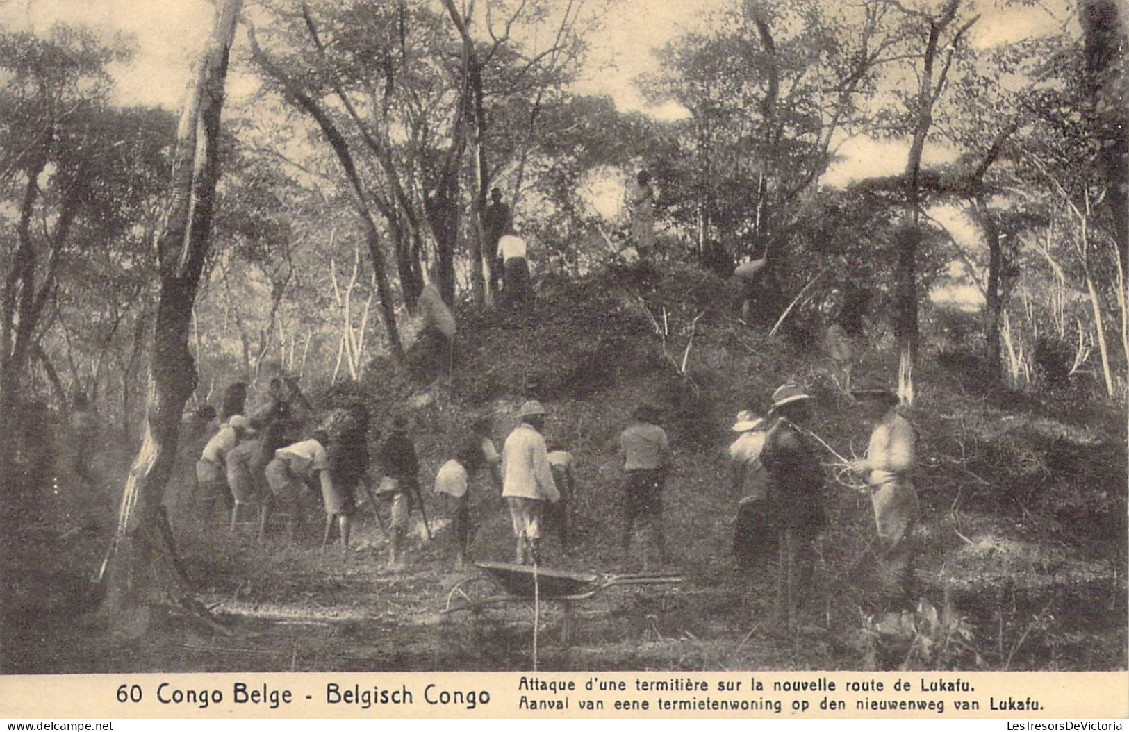 CONGO BELGE - Attaque D'une Termitière Sur La Nouvelle Route De Lukafu - Carte Postale Ancienne - Belgisch-Kongo