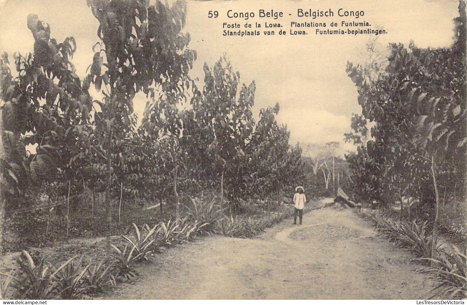 CONGO BELGE - Poste De La Lowa - Plantations De Funtumia - Carte Postale Ancienne - Congo Belge