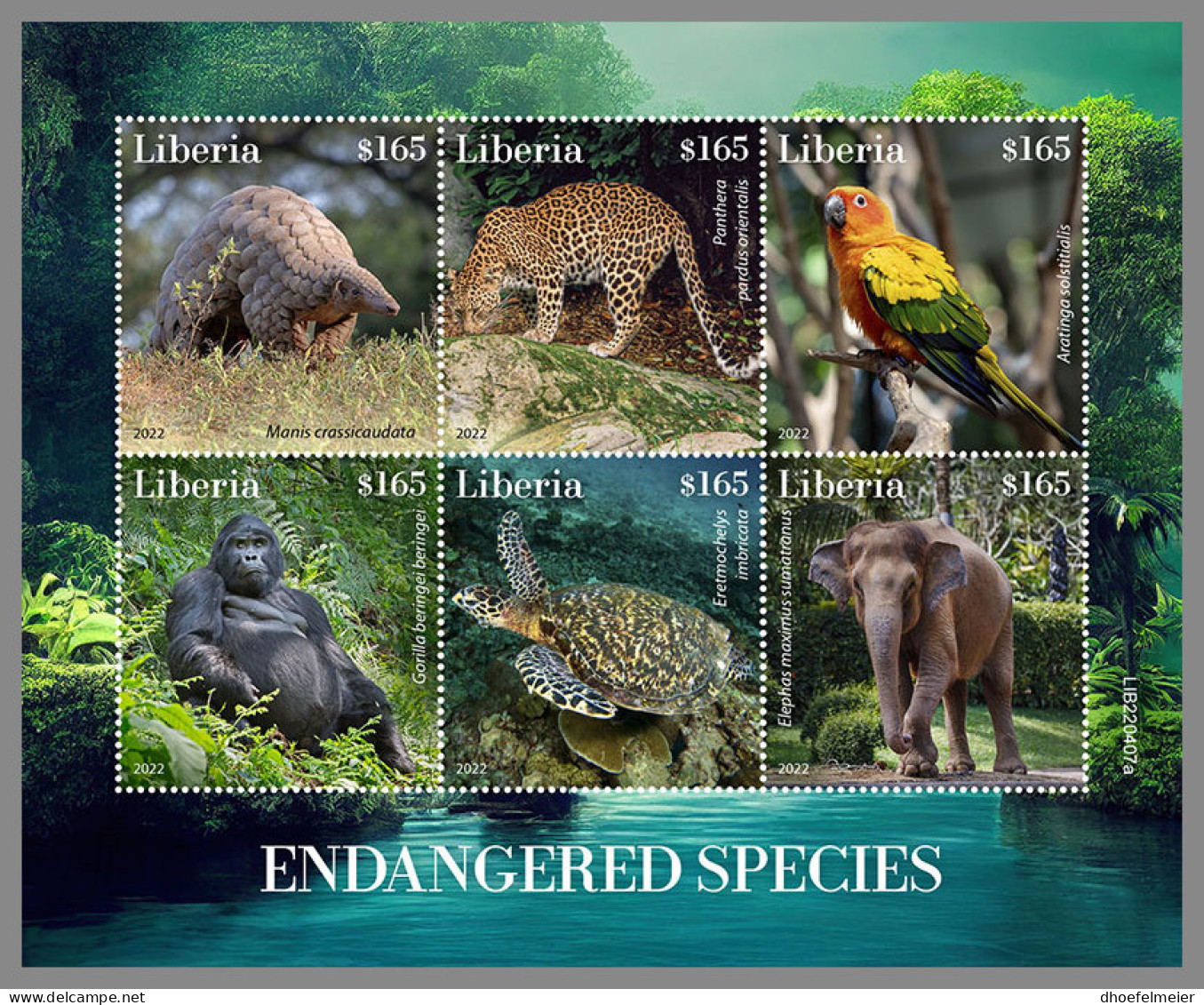 LIBERIA 2022 MNH Gorilla Gorille Endangered Species M/S - OFFICIAL ISSUE - DHQ2318 - Gorilla