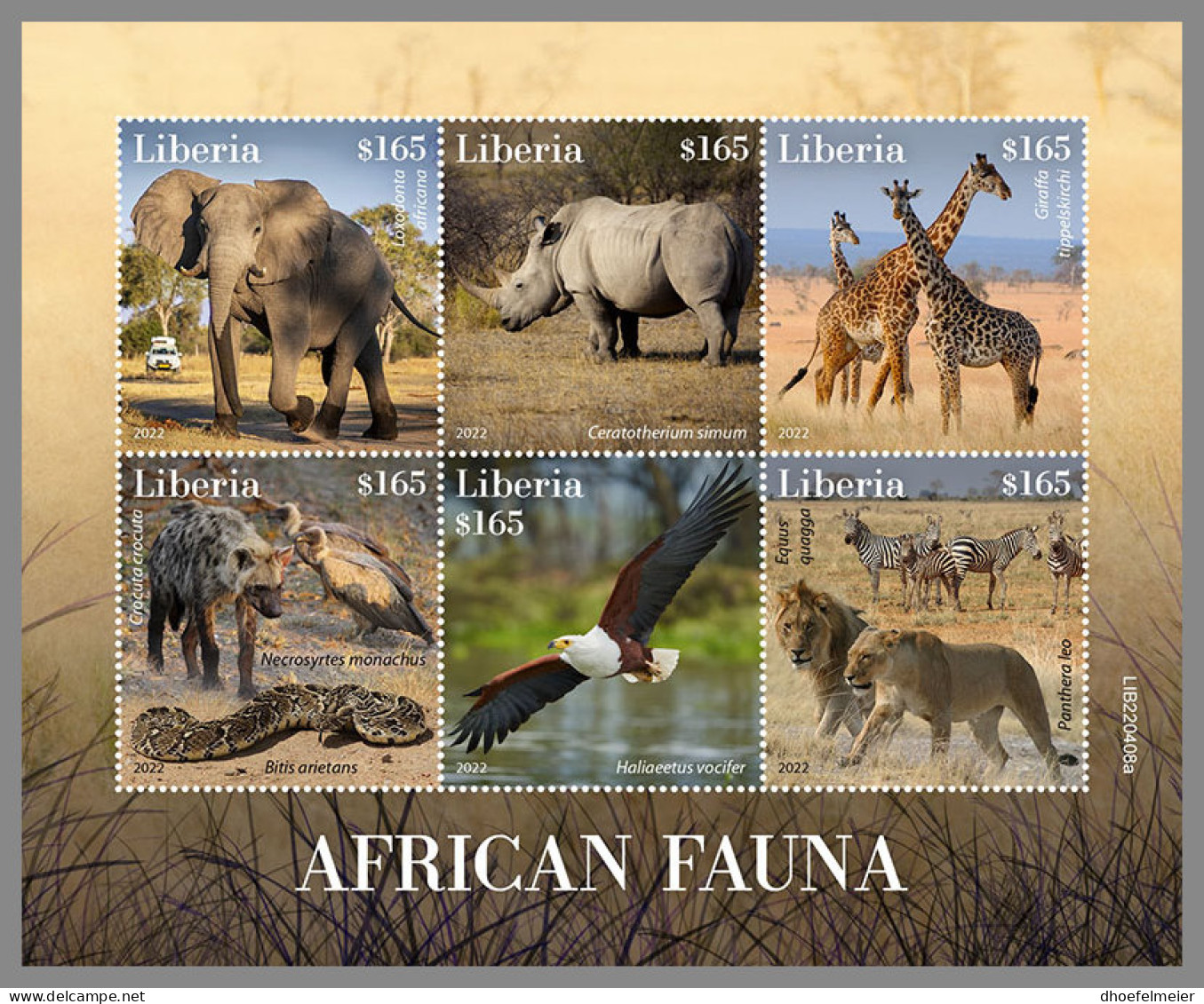 LIBERIA 2022 MNH Giraffe Girafe African Fauna M/S - OFFICIAL ISSUE - DHQ2318 - Giraffes