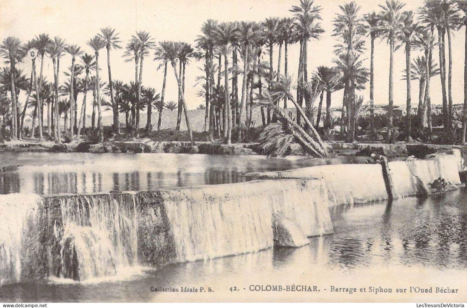 ALGERIE - Colomb-Béchar - Barrage Et Siphon Sur L'Oued Béchar - Carte Postale Ancienne - Bechar (Colomb Béchar)
