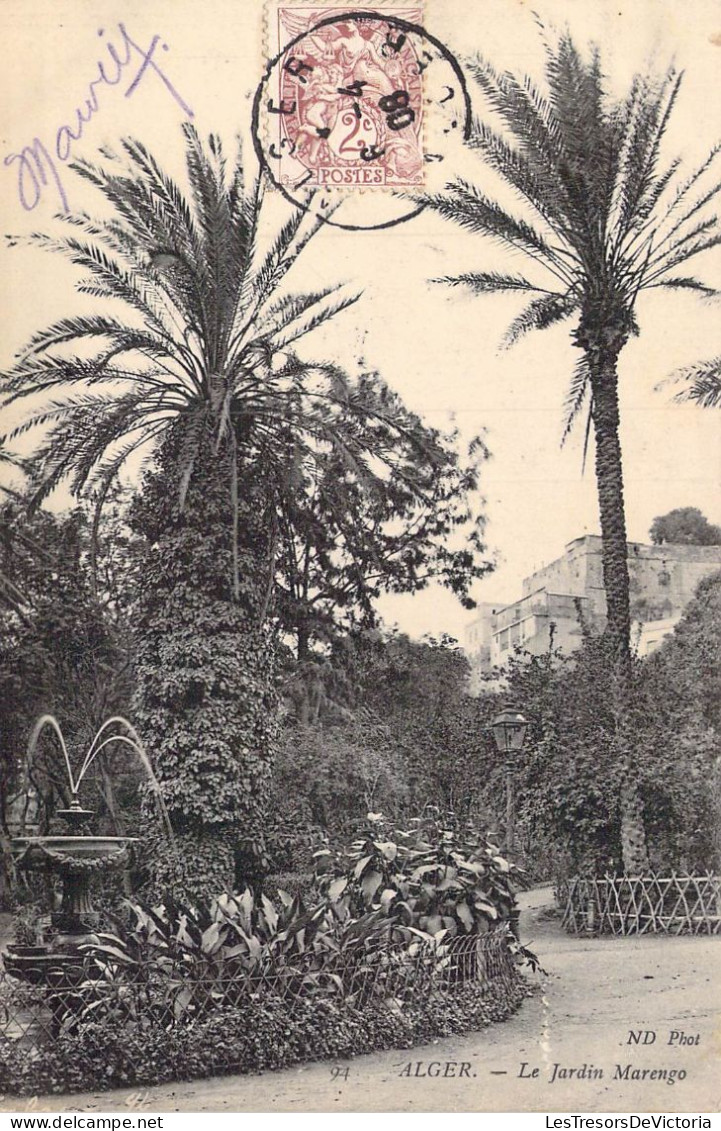 ALGERIE - Alger - Le Jardin Marengo - Carte Postale Ancienne - Algiers