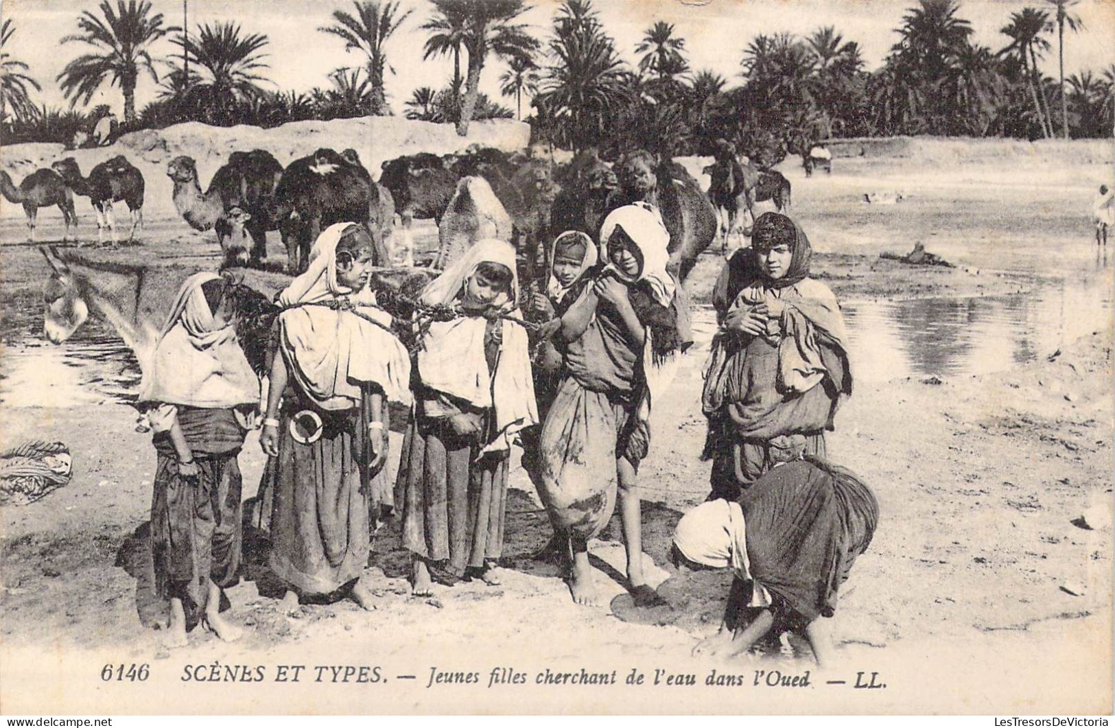ALGERIE - Scènes Et Types - Jeunes Filles Cherchant De L'eau Dans L'Oued - Carte Postale Ancienne - Escenas & Tipos