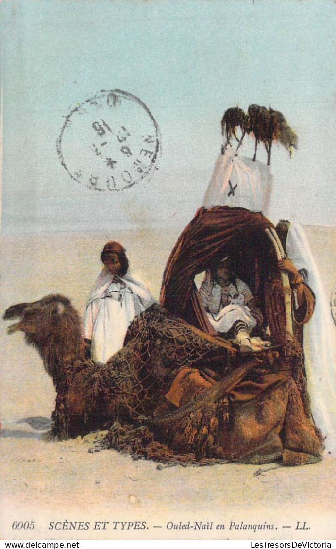 ALGERIE - Scènes Et Types - Ouled-Nail En Palanquins - Carte Postale Ancienne - Escenas & Tipos