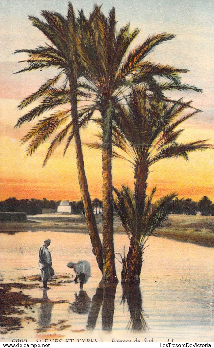 ALGERIE - Scènes Et Types - Paysage Du Sud - Carte Postale Ancienne - Szenen