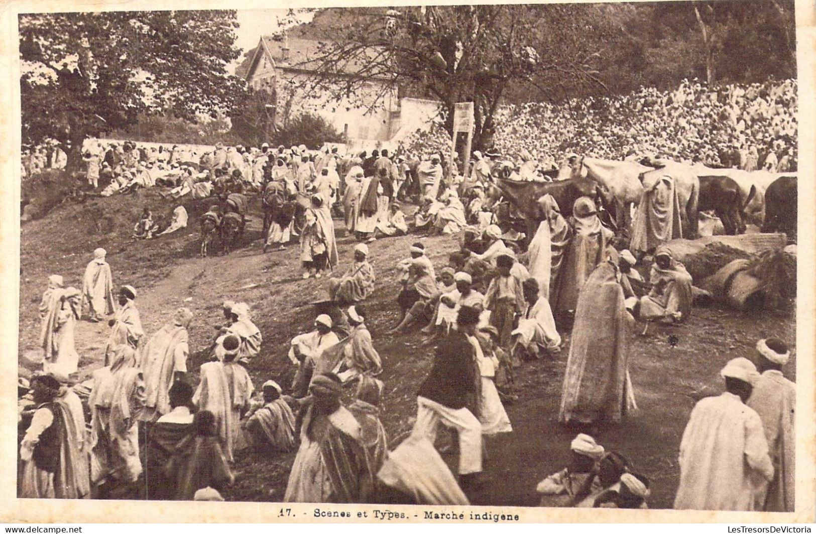 ALGERIE - Scènes Et Types - Marché Indigène - Carte Postale Ancienne - Scènes & Types