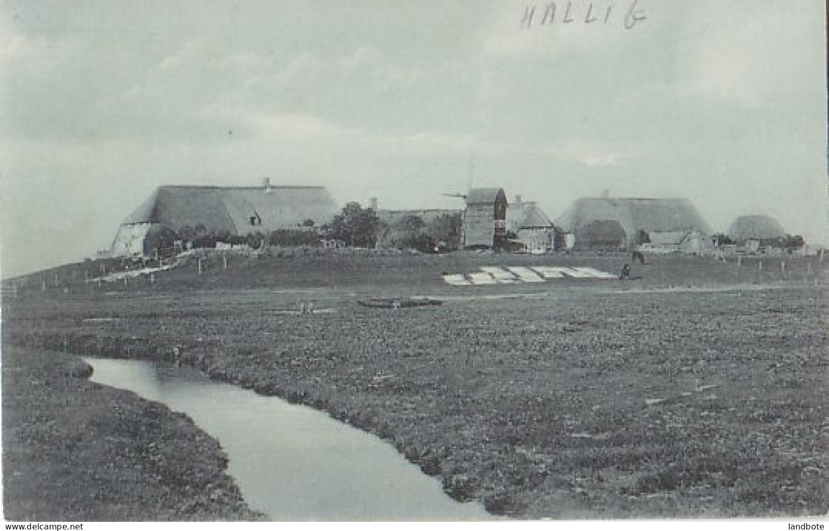 Hallig Nordermarsch (heute Langeneß) - Nordfriesland