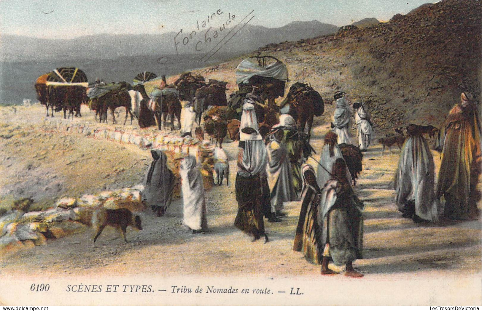 ALGERIE - Scènes Et Types - Tribu De Nomades En Route - Carte Postale Ancienne - Plaatsen