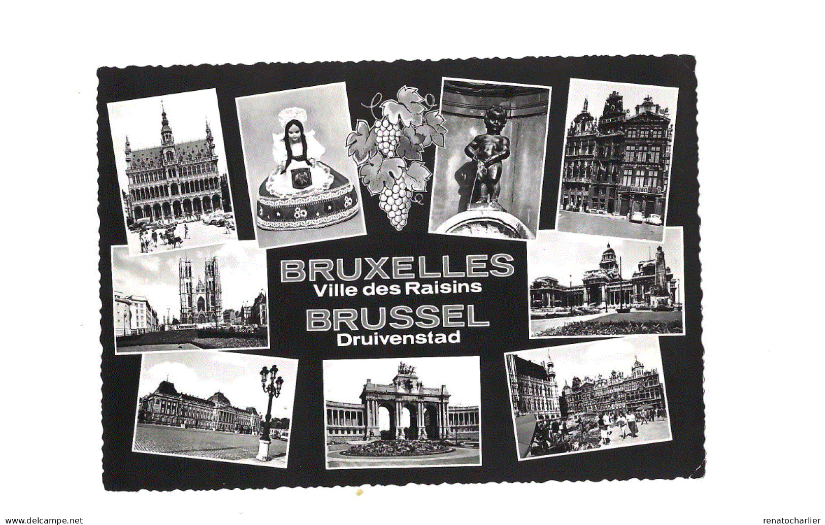Bruxelles,ville Des Raisins. - Panoramische Zichten, Meerdere Zichten