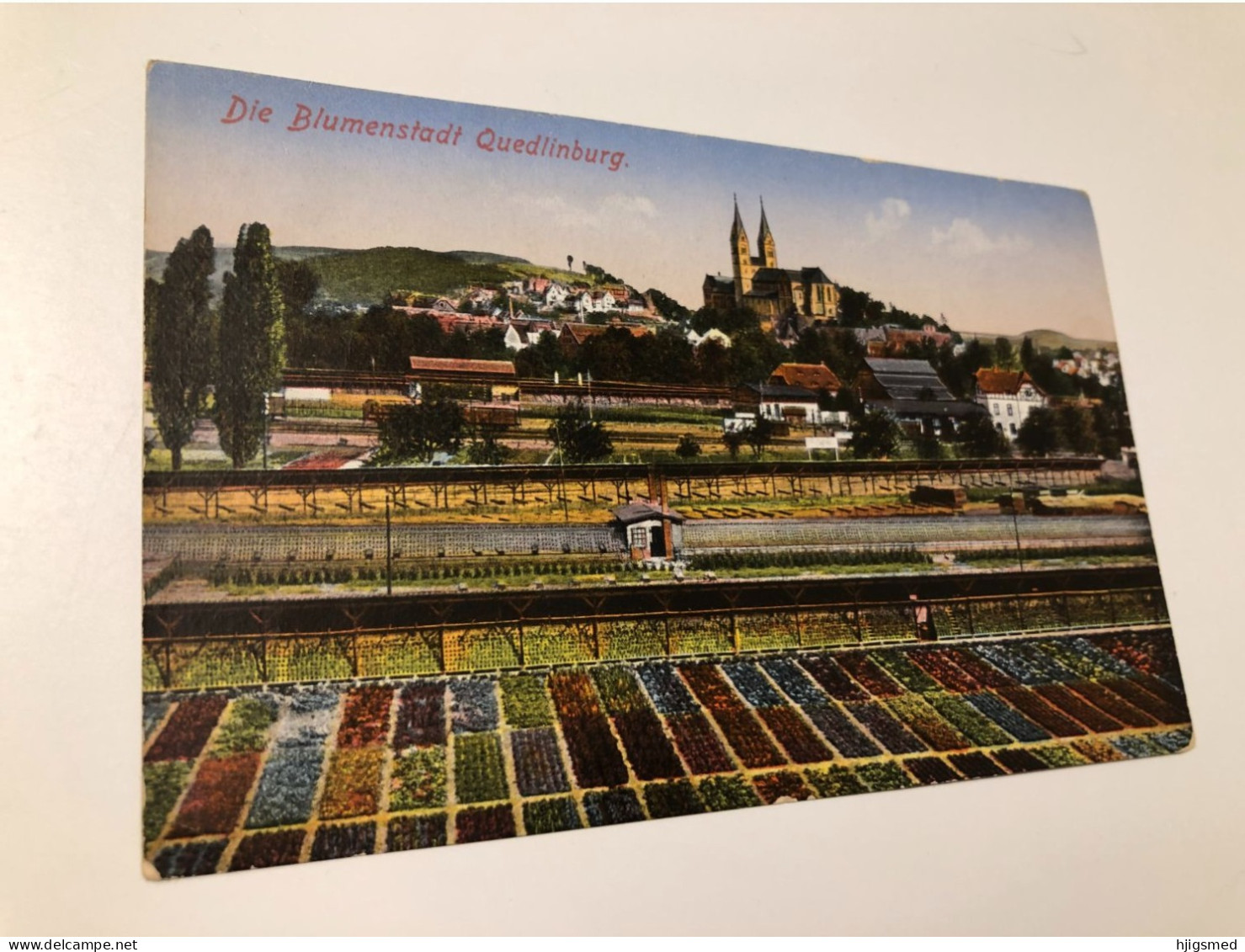 Germany Deutschland Quedlinburg Blumenstadt Blumen Flower Field Train Station Bahn Hof 16054 Post Card POSTCARD - Quedlinburg