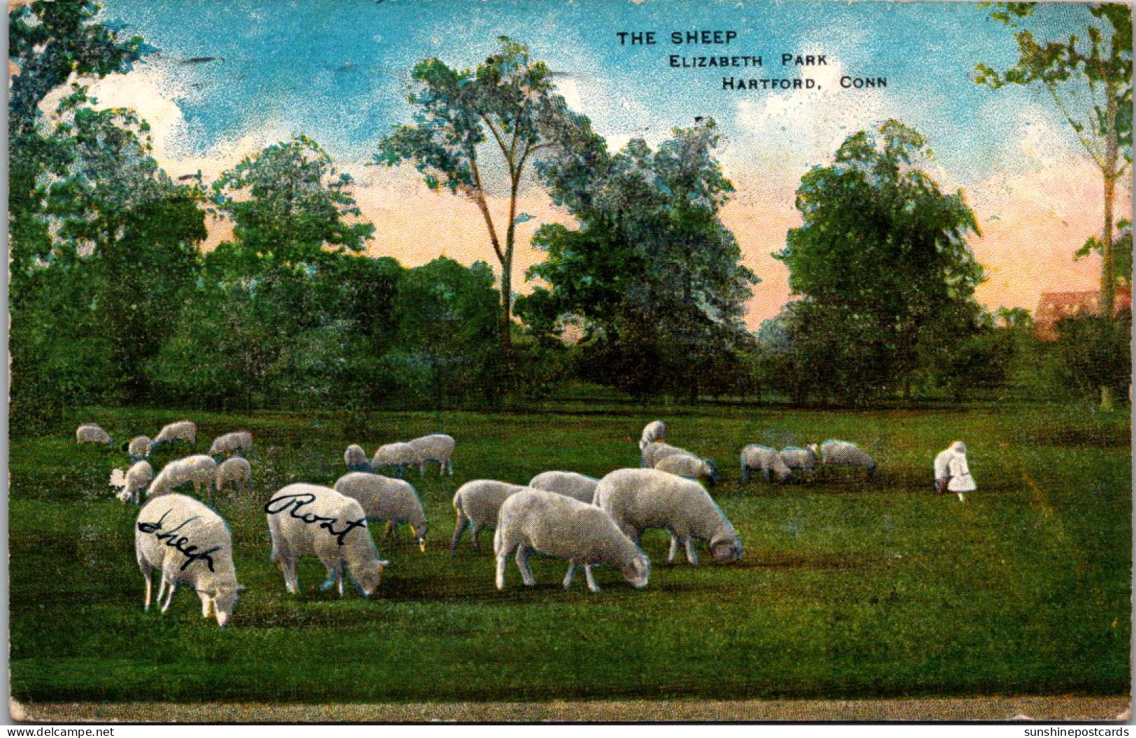 Connecticut Hartford Elizabeth Park The Sheep 1913 - Hartford