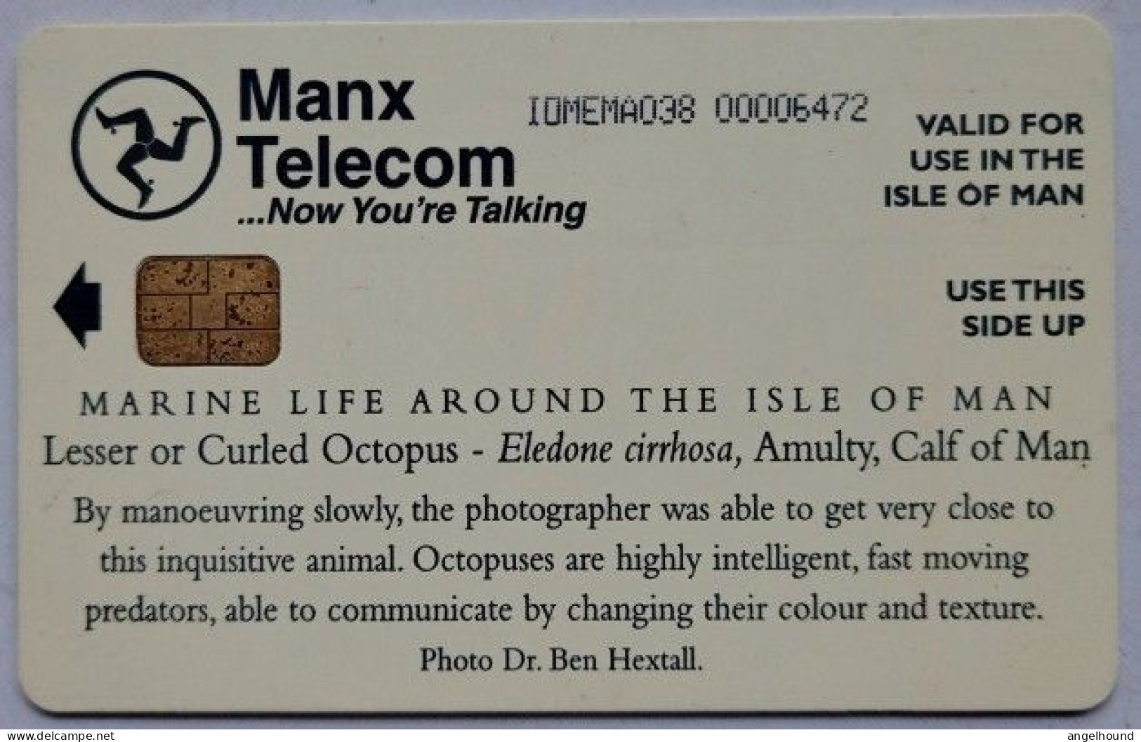 Isle Of Man Manx Telecom £2   21 Units  " Lesser Or Curled Octopus " - Isle Of Man