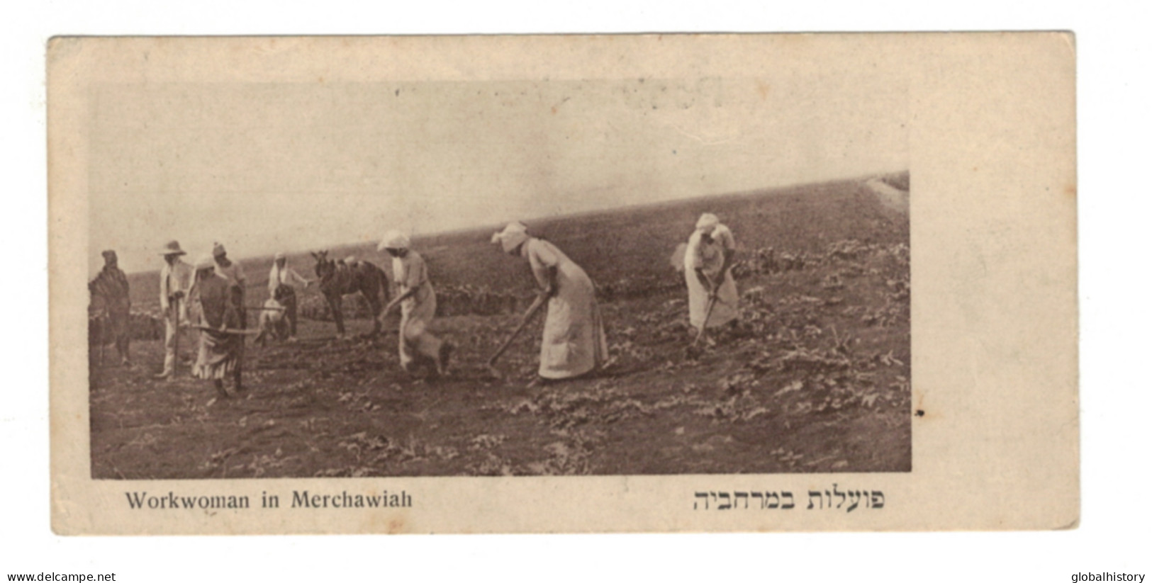 DH1416 - PALESTINE - MERCHAWIAH WORKING WOMEN - SMALL PC 5.50x2.60 INCH - Palestina