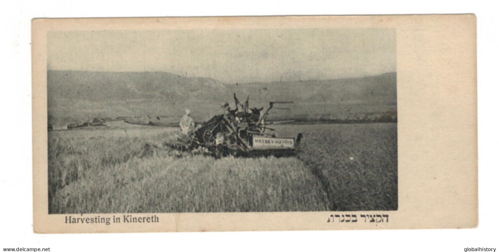 DH1418 - ISRAEL - HARVESTING IN KINNERET- SMALL PC 5.50x2.60 INCH - Israël