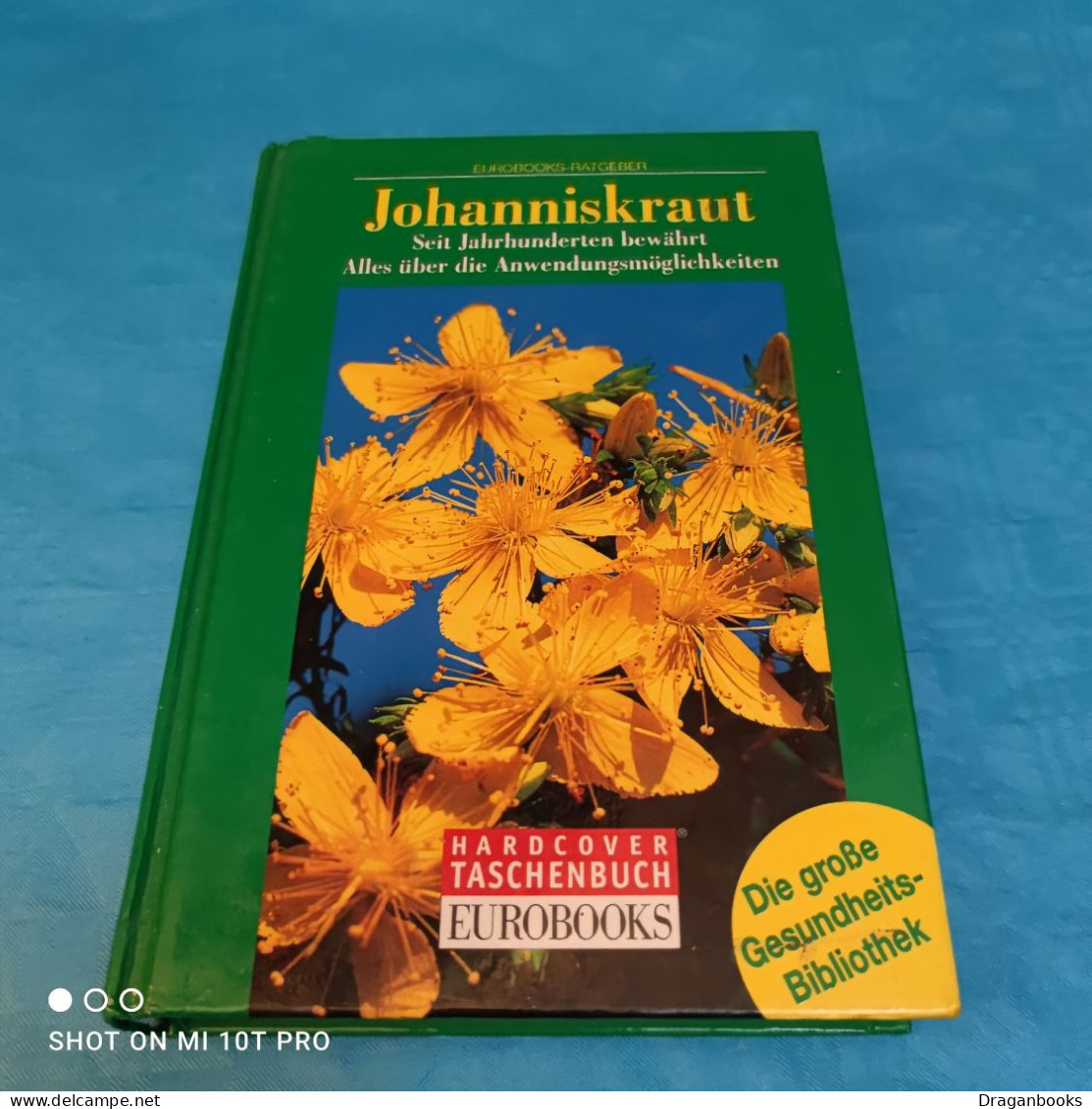 Johanniskraut - Botanik